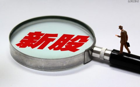 雅培期货今日行情(雅培股价大涨吗)